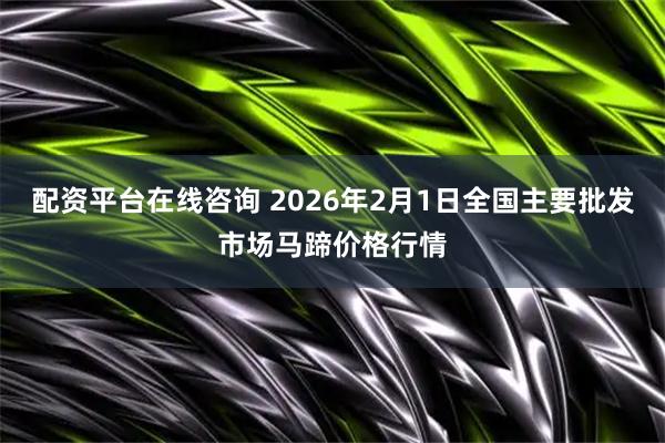 配资平台在线咨询 2026年2月1日全国主要批发市场马蹄价格行情