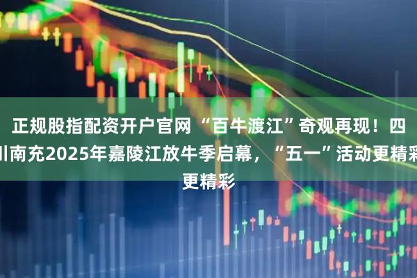 正规股指配资开户官网 “百牛渡江”奇观再现!四川南充2025年嘉陵江放牛季启幕,“五一”活动更精彩