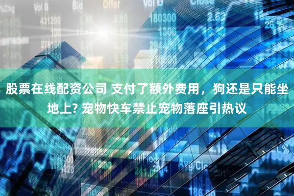 股票在线配资公司 支付了额外费用，狗还是只能坐地上? 宠物快车禁止宠物落座引热议